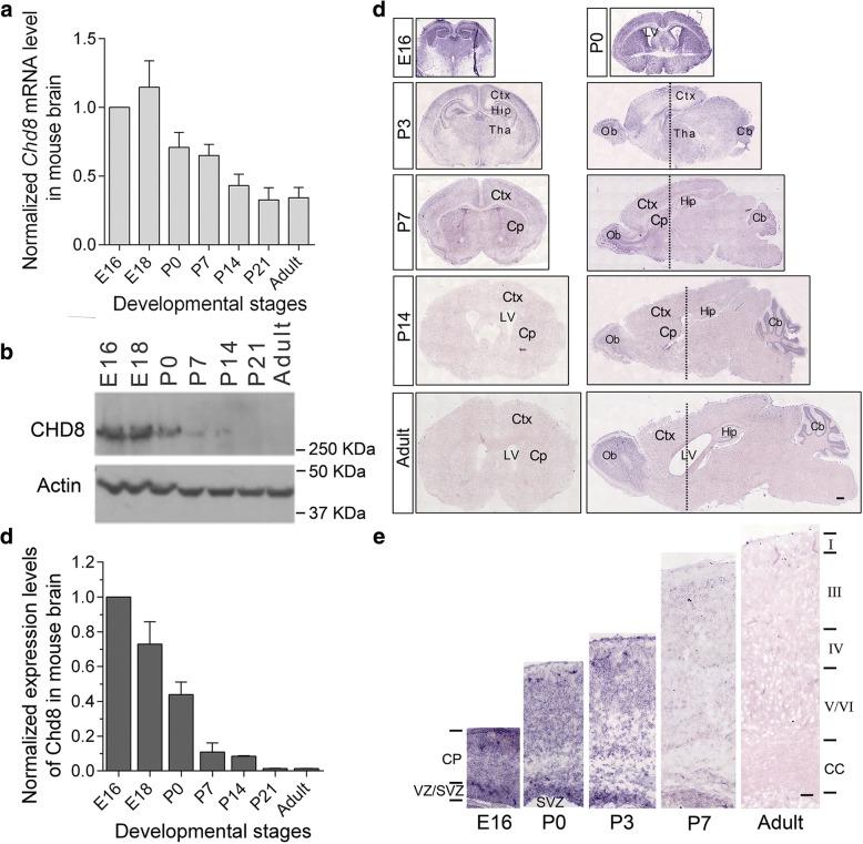 https://cdn.ncbi.nlm.nih.gov/pmc/blobs/8964/6299922/e27a74ca69f7/13229_2018_244_Fig2_HTML.jpg