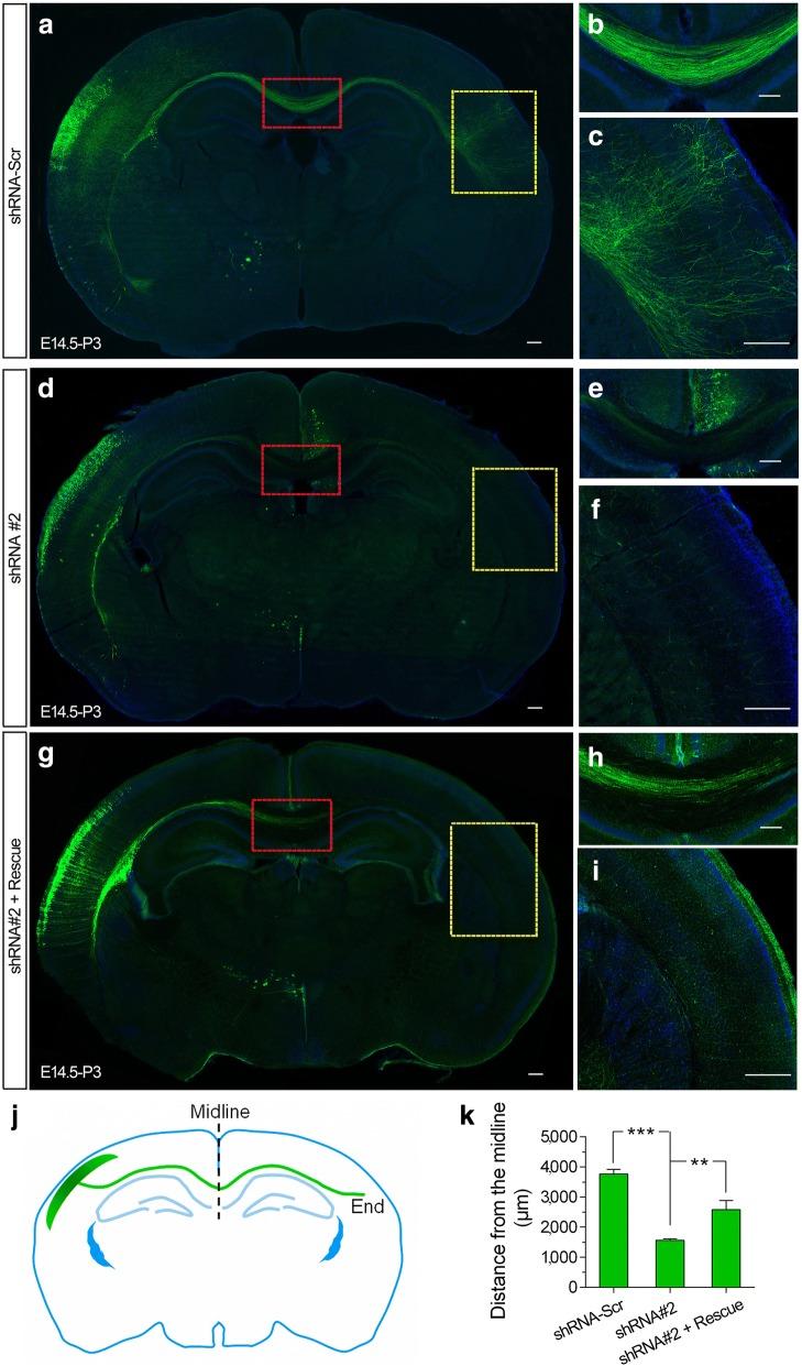 https://cdn.ncbi.nlm.nih.gov/pmc/blobs/8964/6299922/e3e4b99791b1/13229_2018_244_Fig5_HTML.jpg