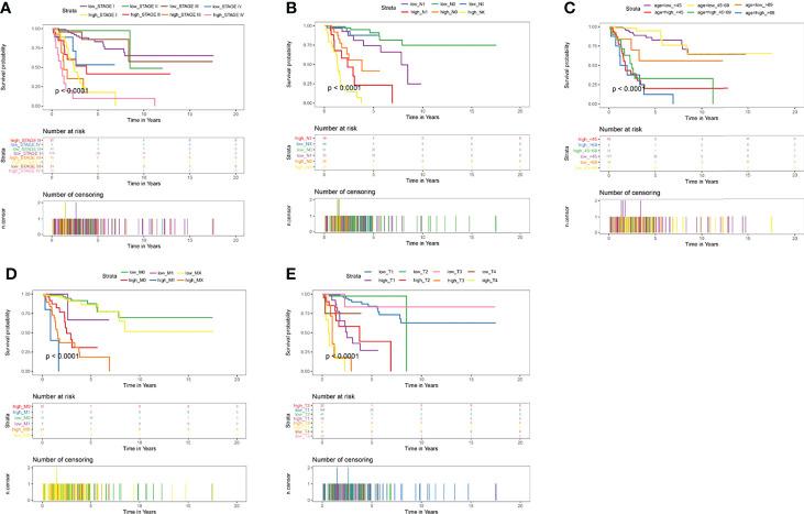 https://cdn.ncbi.nlm.nih.gov/pmc/blobs/8964/9341272/336d7fc981b4/fimmu-13-851622-g008.jpg