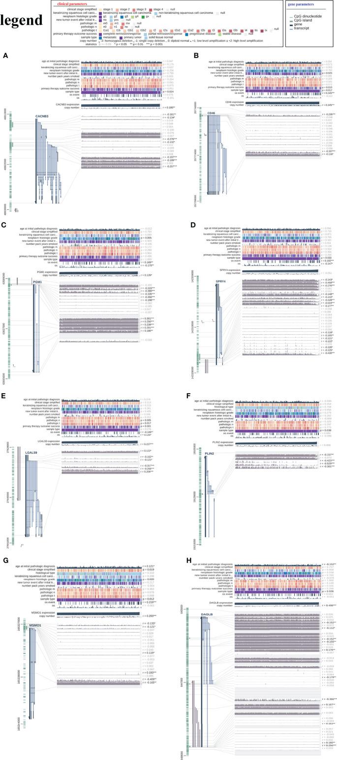 https://cdn.ncbi.nlm.nih.gov/pmc/blobs/8964/9341272/4780aad42dcc/fimmu-13-851622-g014.jpg