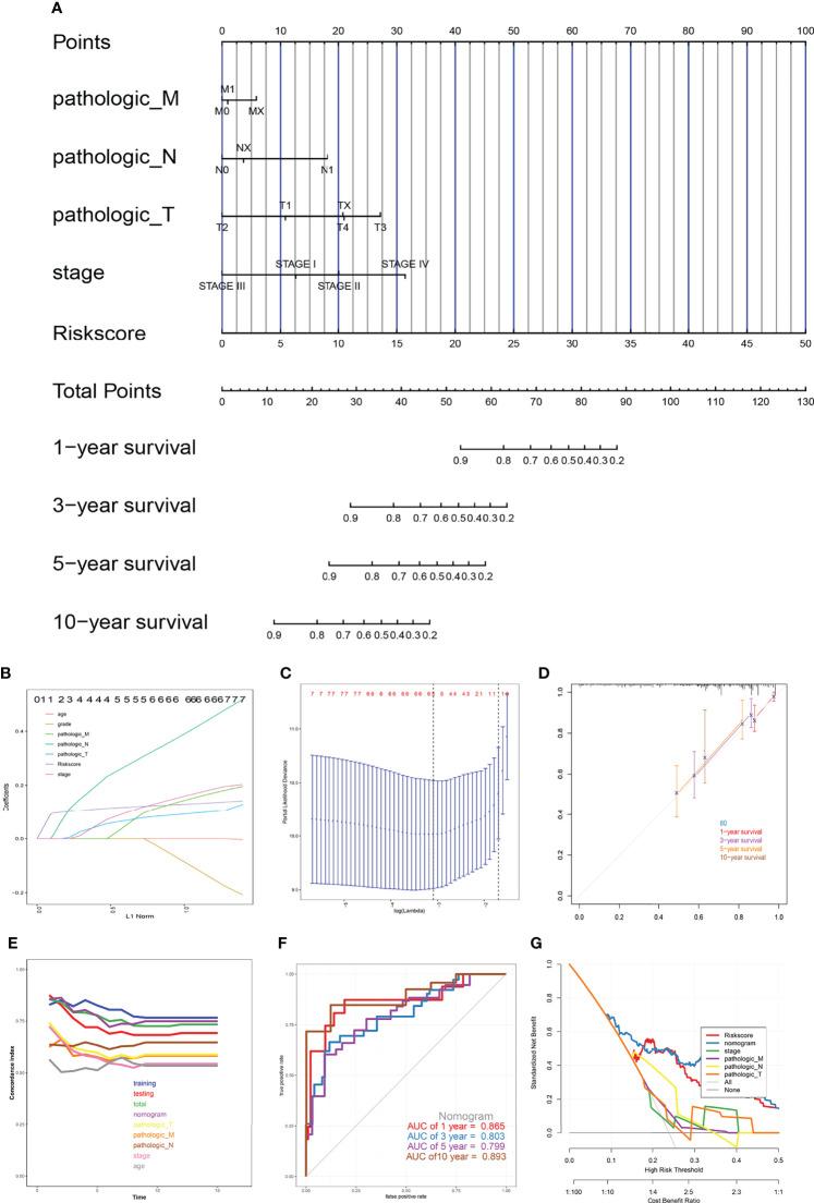 https://cdn.ncbi.nlm.nih.gov/pmc/blobs/8964/9341272/ccc6fb817079/fimmu-13-851622-g010.jpg