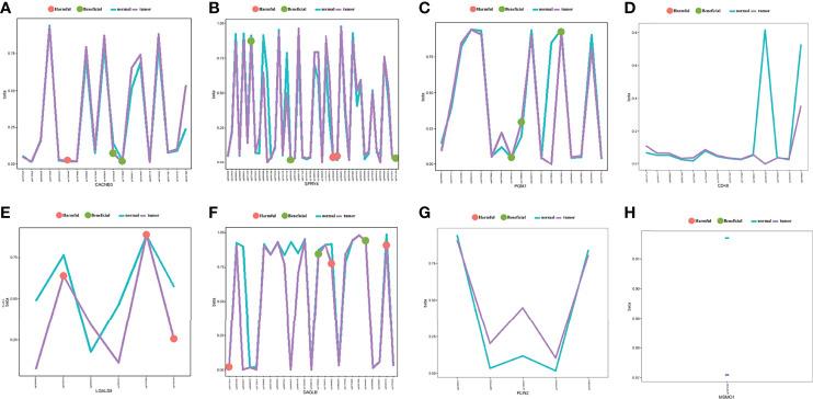 https://cdn.ncbi.nlm.nih.gov/pmc/blobs/8964/9341272/edff9585113e/fimmu-13-851622-g013.jpg