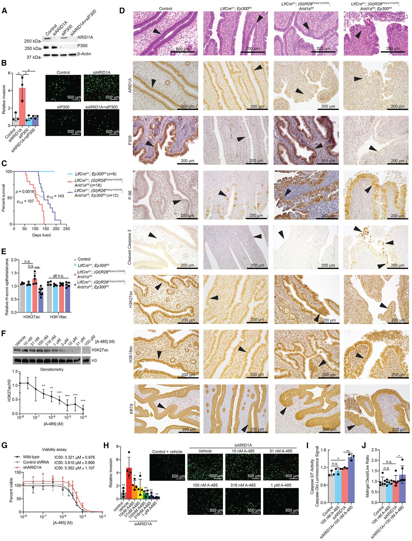 https://cdn.ncbi.nlm.nih.gov/pmc/blobs/8965/7682620/02783187ef92/nihms-1645784-f0005.jpg