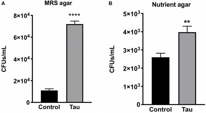 https://cdn.ncbi.nlm.nih.gov/pmc/blobs/8967/8597733/fc1410f3bec5/fnins-15-731602-g002.jpg