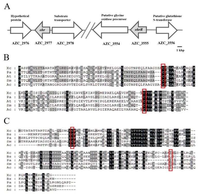 https://cdn.ncbi.nlm.nih.gov/pmc/blobs/8969/7141136/234118012639/genes-11-00335-g001.jpg