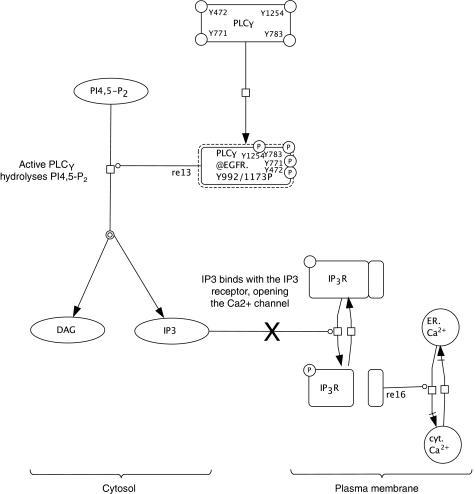 https://cdn.ncbi.nlm.nih.gov/pmc/blobs/896a/2724977/69a739fe1ff5/msb200947-f3.jpg