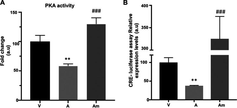 https://cdn.ncbi.nlm.nih.gov/pmc/blobs/896b/10117149/1df942196720/msphere.00526-22-f004.jpg