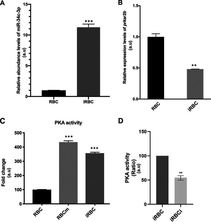 https://cdn.ncbi.nlm.nih.gov/pmc/blobs/896b/10117149/86b844d610bf/msphere.00526-22-f005.jpg