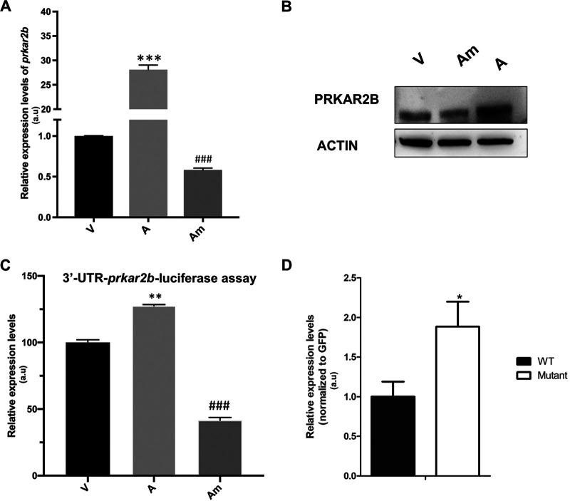 https://cdn.ncbi.nlm.nih.gov/pmc/blobs/896b/10117149/ed654a5a8aba/msphere.00526-22-f003.jpg