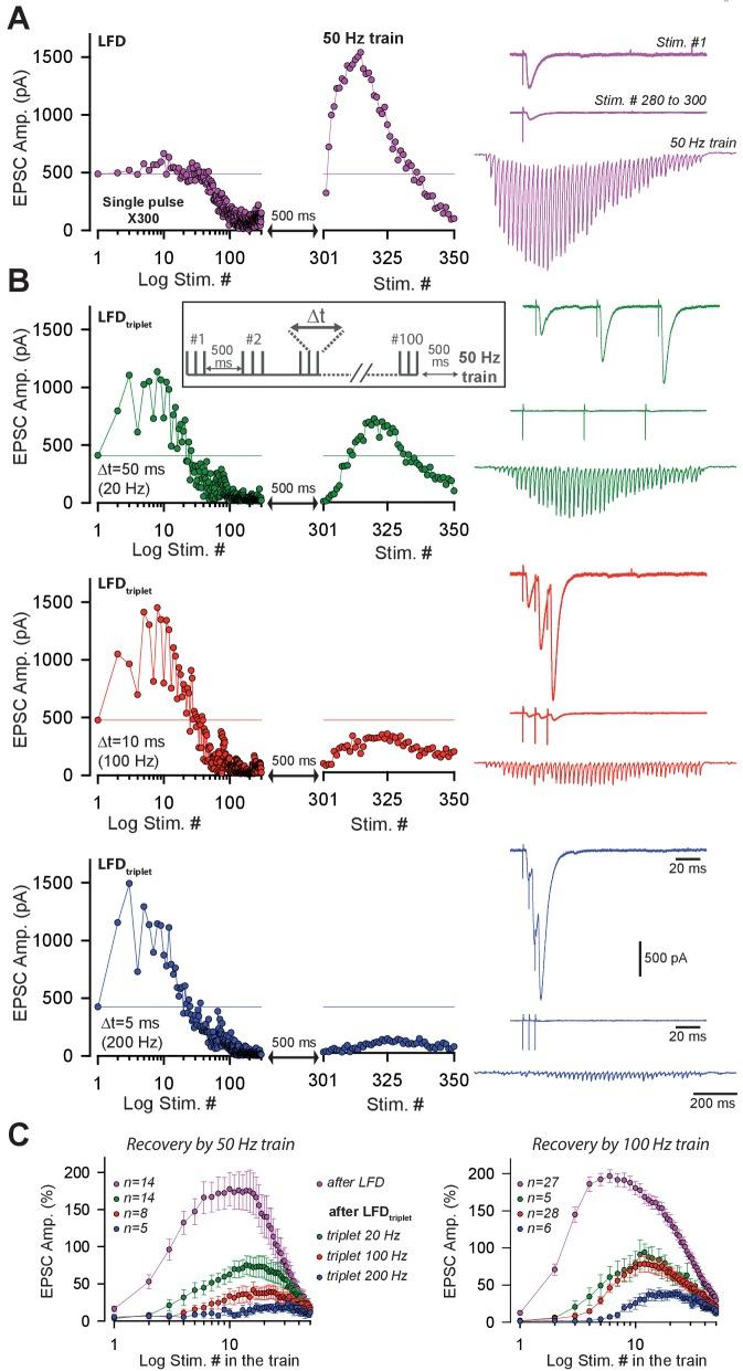 https://cdn.ncbi.nlm.nih.gov/pmc/blobs/896b/5648531/0d5a5837d42c/elife-28935-fig3.jpg