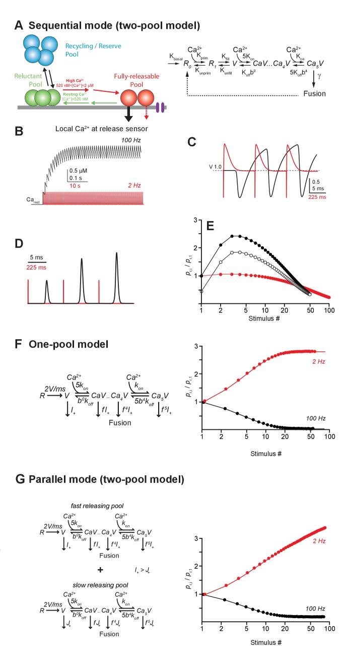 https://cdn.ncbi.nlm.nih.gov/pmc/blobs/896b/5648531/9c2d964c079d/elife-28935-fig6.jpg