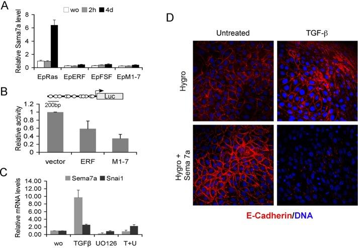 https://cdn.ncbi.nlm.nih.gov/pmc/blobs/896c/3459863/b78622da0530/3873fig4.jpg
