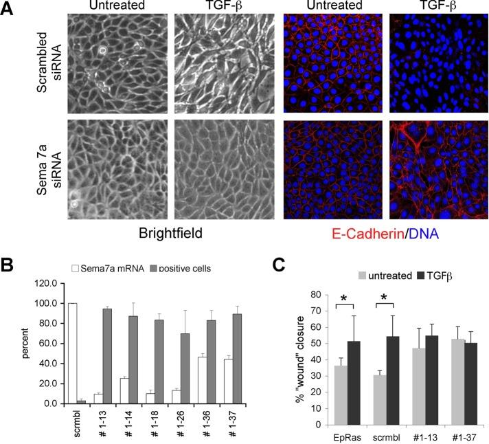 https://cdn.ncbi.nlm.nih.gov/pmc/blobs/896c/3459863/f0a4717b3385/3873fig5.jpg