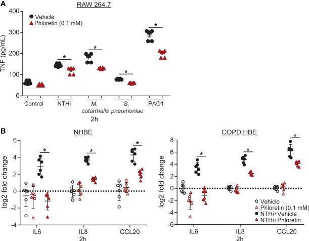 https://cdn.ncbi.nlm.nih.gov/pmc/blobs/896e/8645934/3f3652329a4a/fcimb-11-652944-g002.jpg