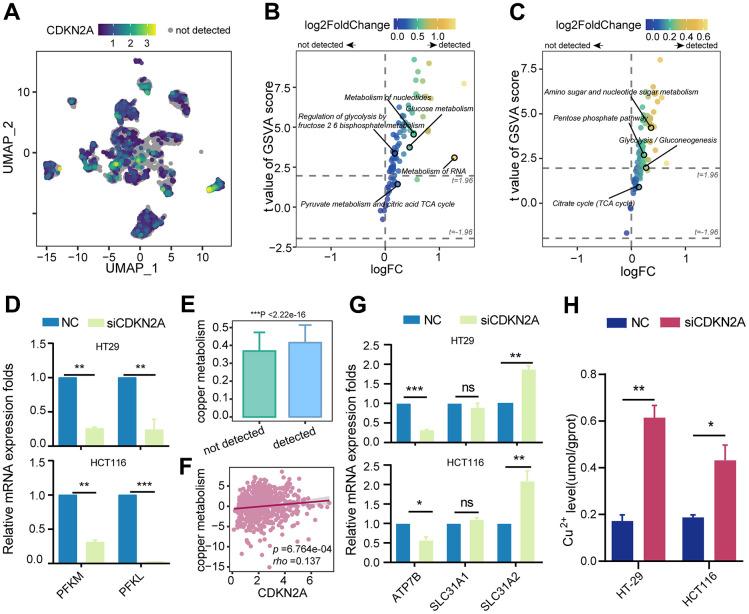 https://cdn.ncbi.nlm.nih.gov/pmc/blobs/8970/11236303/0c51caec0776/aging-16-205945-g004.jpg