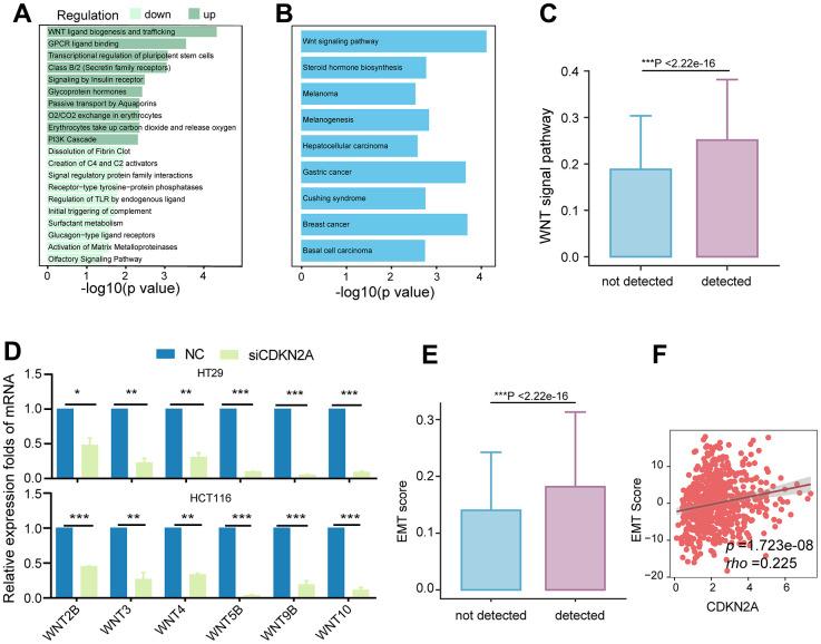 https://cdn.ncbi.nlm.nih.gov/pmc/blobs/8970/11236303/772a479bbd98/aging-16-205945-g005.jpg