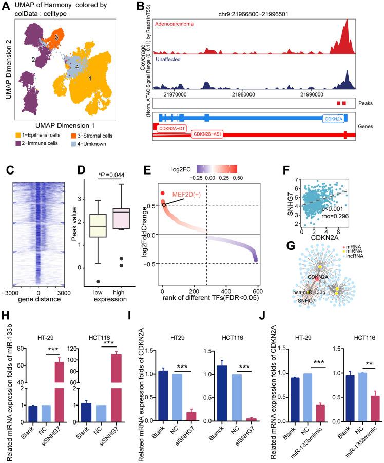 https://cdn.ncbi.nlm.nih.gov/pmc/blobs/8970/11236303/9ae100974158/aging-16-205945-g003.jpg