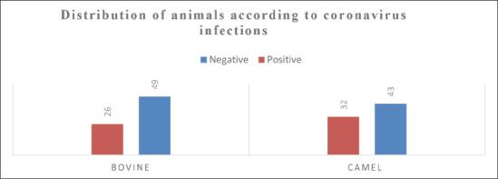 https://cdn.ncbi.nlm.nih.gov/pmc/blobs/8970/11974302/e6f8e9b6fa1a/OpenVetJ-15-765-g001.jpg