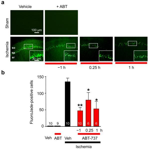 https://cdn.ncbi.nlm.nih.gov/pmc/blobs/8970/3862259/2fa0c887a205/nihms-352674-f0001.jpg