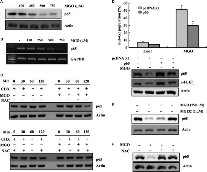 https://cdn.ncbi.nlm.nih.gov/pmc/blobs/8970/5661116/bcf152e3996b/JCMM-21-2720-g007.jpg