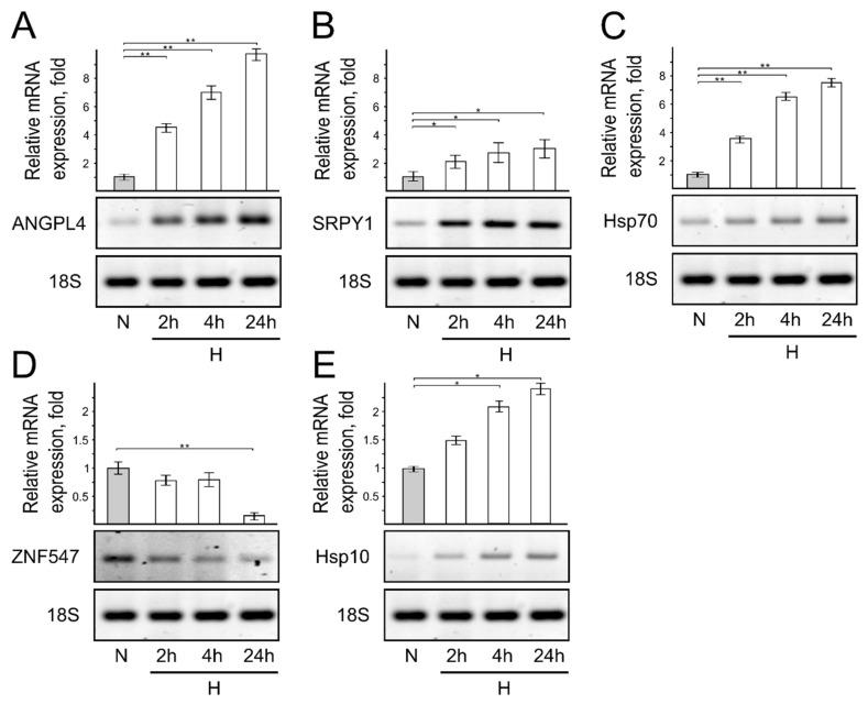 https://cdn.ncbi.nlm.nih.gov/pmc/blobs/8970/9498350/58cc62cb8fd8/genes-13-01596-g003.jpg