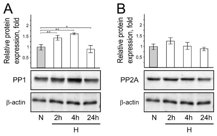 https://cdn.ncbi.nlm.nih.gov/pmc/blobs/8970/9498350/e0e0d79775a9/genes-13-01596-g006.jpg