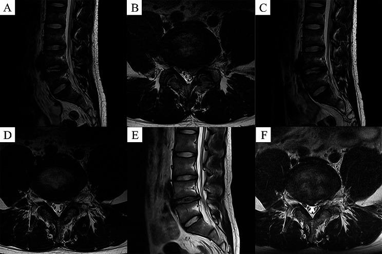 https://cdn.ncbi.nlm.nih.gov/pmc/blobs/8973/11044406/e37cd520118e/12891_2024_7444_Fig9_HTML.jpg