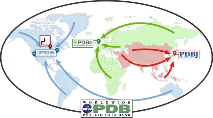https://cdn.ncbi.nlm.nih.gov/pmc/blobs/8973/6324056/adb322116bb9/gky949fig2.jpg