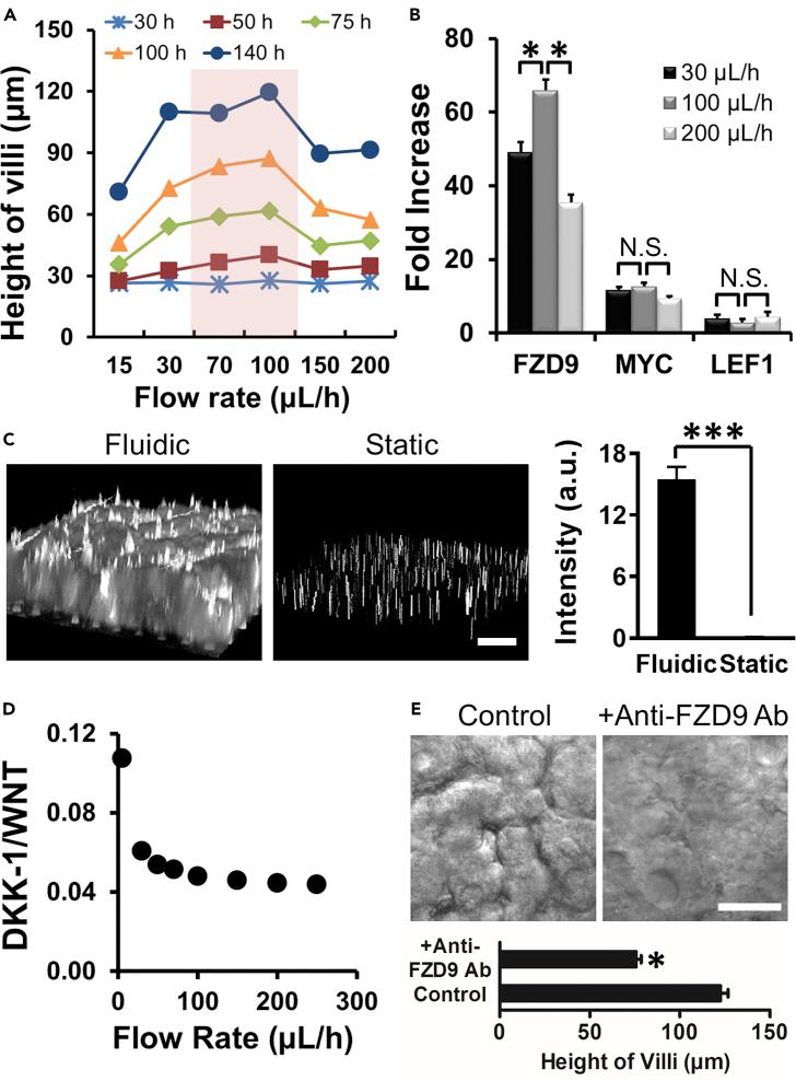https://cdn.ncbi.nlm.nih.gov/pmc/blobs/8974/6526295/e3ad4dcc977c/gr6.jpg