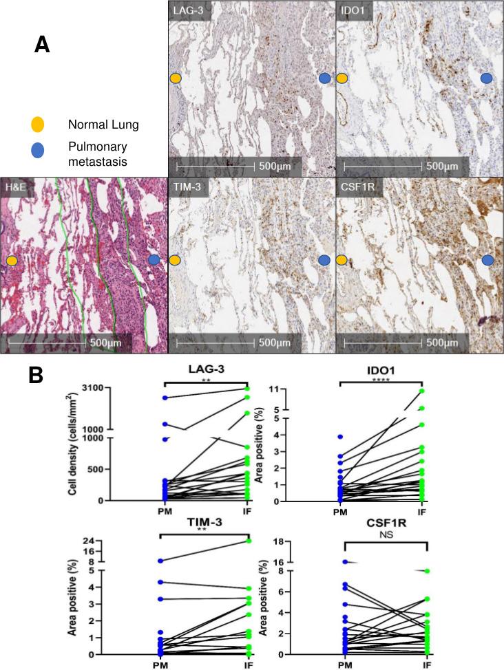 https://cdn.ncbi.nlm.nih.gov/pmc/blobs/8975/8144029/7fd9ec67fa45/jitc-2020-001772f02.jpg