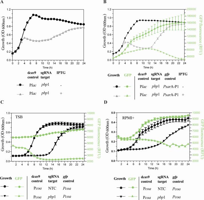 https://cdn.ncbi.nlm.nih.gov/pmc/blobs/8976/11448056/134f1ca83c82/spectrum.00602-24.f003.jpg