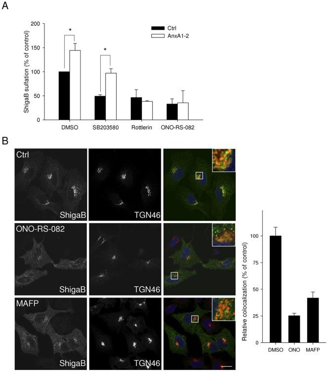 https://cdn.ncbi.nlm.nih.gov/pmc/blobs/8977/3391278/69ef1d726f9f/pone.0040429.g004.jpg