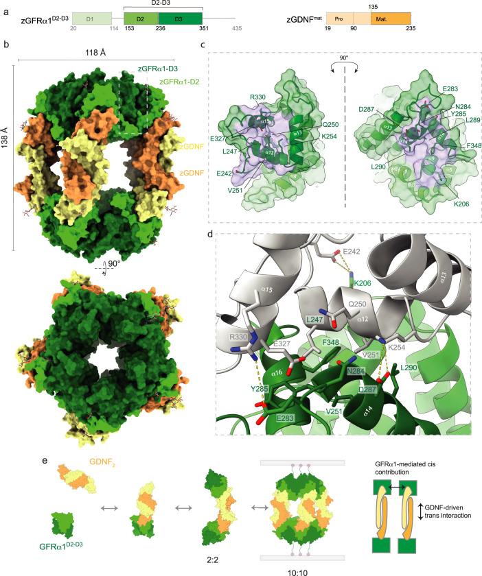 https://cdn.ncbi.nlm.nih.gov/pmc/blobs/8978/10661694/12acf2e76ace/41467_2023_43148_Fig1_HTML.jpg
