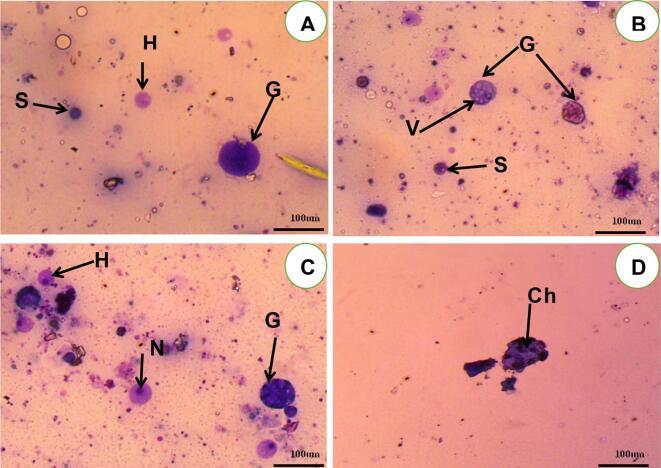 https://cdn.ncbi.nlm.nih.gov/pmc/blobs/897a/10750182/7998a7a80905/gr4.jpg