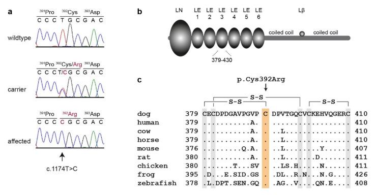 https://cdn.ncbi.nlm.nih.gov/pmc/blobs/897c/7565164/784d1657b8db/genes-11-01055-g003.jpg