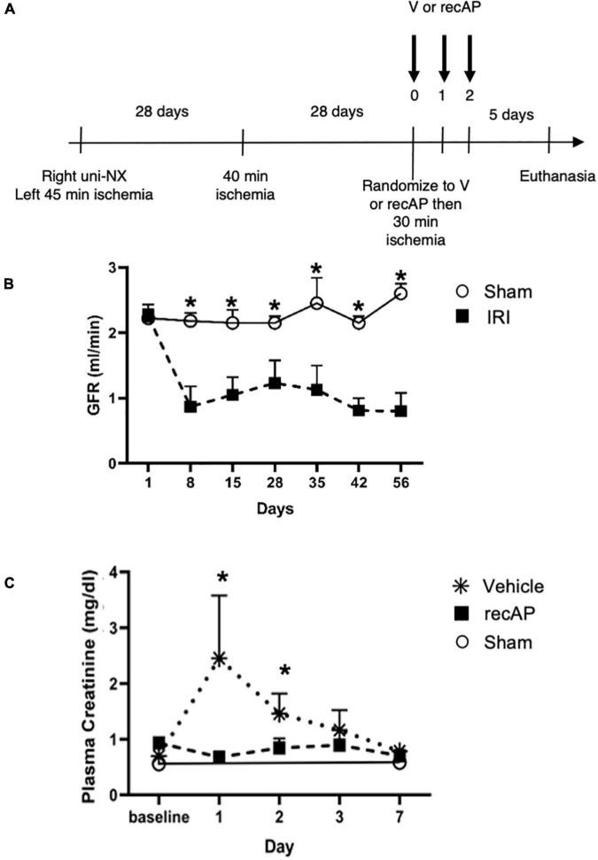 https://cdn.ncbi.nlm.nih.gov/pmc/blobs/897d/9366018/e499dc25f60b/fmed-09-931293-g006.jpg