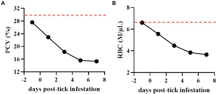https://cdn.ncbi.nlm.nih.gov/pmc/blobs/897e/11999960/1ac7f1542da2/fvets-12-1572944-g003.jpg