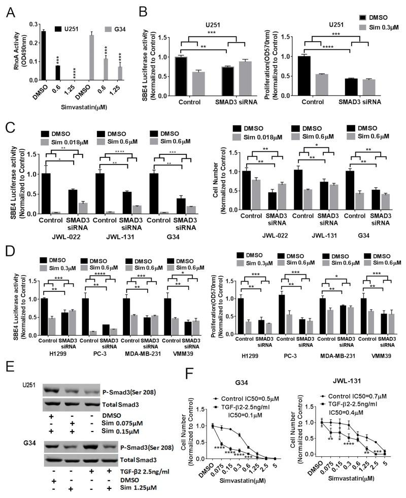 https://cdn.ncbi.nlm.nih.gov/pmc/blobs/897e/6422202/8721ed825c25/oncotarget-10-1716-g002.jpg
