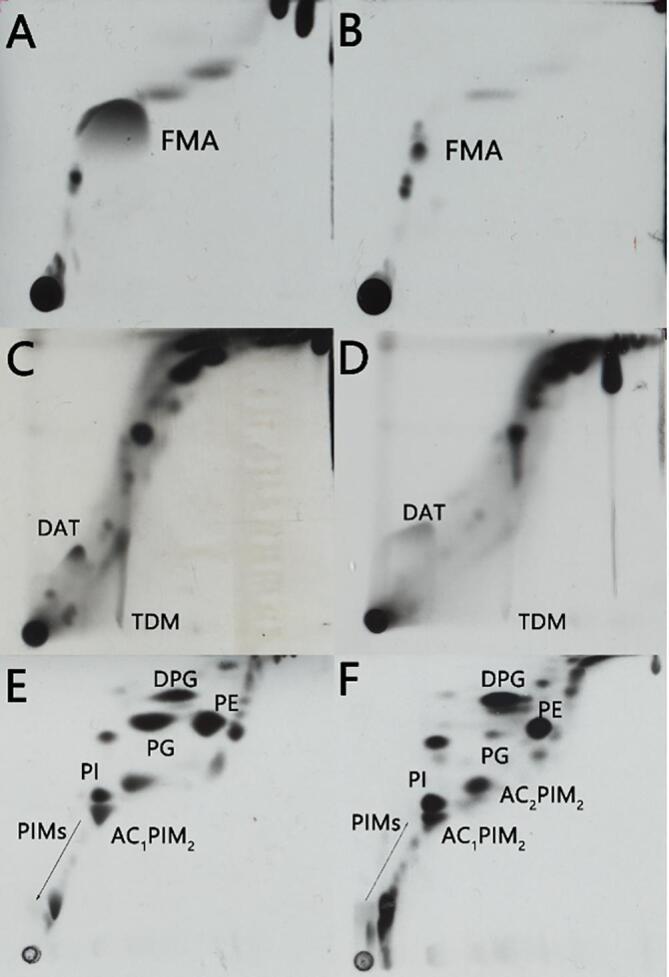 https://cdn.ncbi.nlm.nih.gov/pmc/blobs/897e/7421604/de18dedd4d23/gr4.jpg