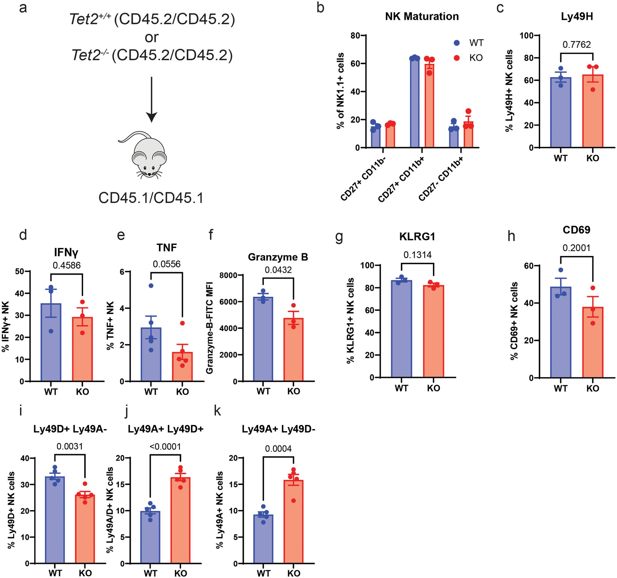 https://cdn.ncbi.nlm.nih.gov/pmc/blobs/8980/8989654/9d5a01e4fa9f/nihms-1782536-f0014.jpg