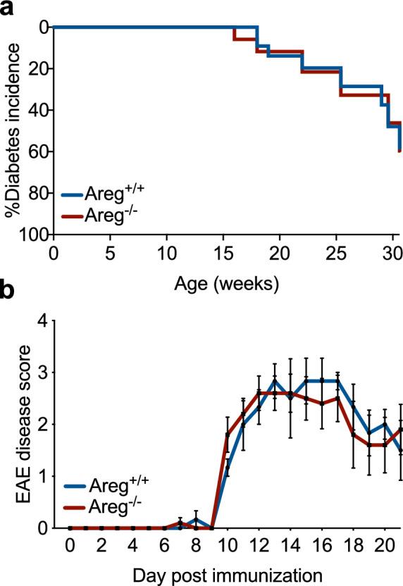 https://cdn.ncbi.nlm.nih.gov/pmc/blobs/8981/10616065/6ceac748d68a/41598_2023_45738_Fig5_HTML.jpg