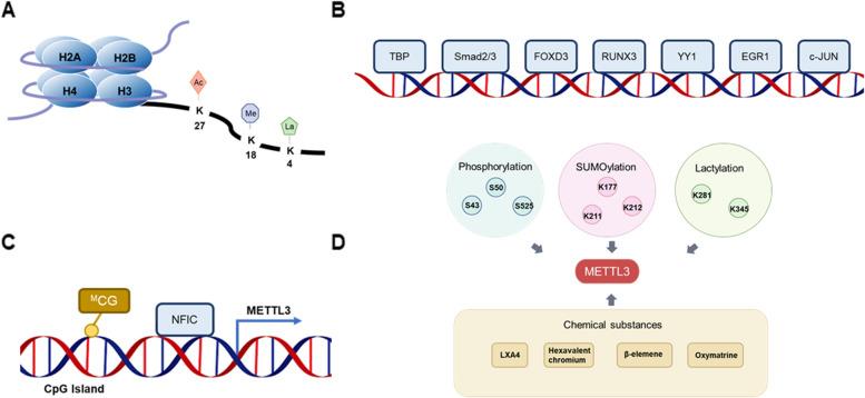 https://cdn.ncbi.nlm.nih.gov/pmc/blobs/8981/10732098/1e4004e5f38d/12964_2023_1360_Fig2_HTML.jpg