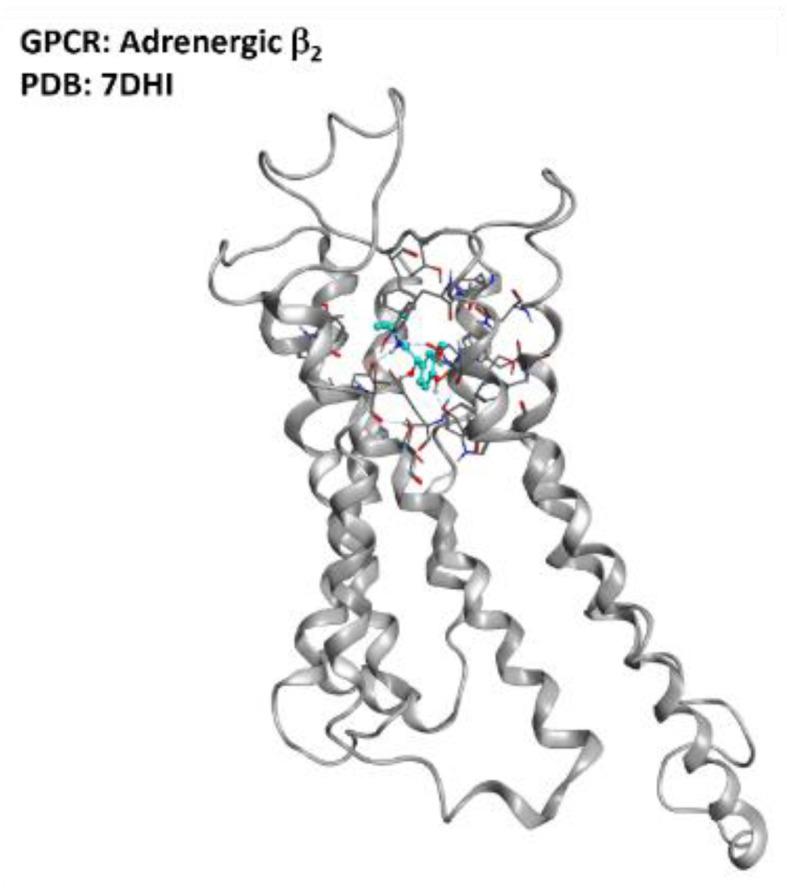 https://cdn.ncbi.nlm.nih.gov/pmc/blobs/8983/9106011/2733063b23a7/ijms-23-04504-g017.jpg