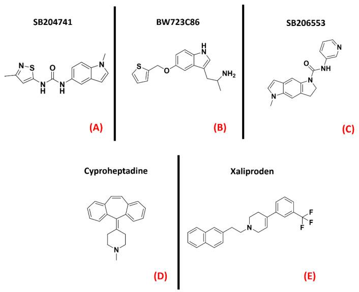 https://cdn.ncbi.nlm.nih.gov/pmc/blobs/8983/9106011/2e0fd0e2d389/ijms-23-04504-g012.jpg