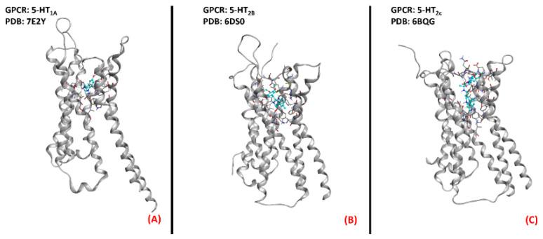 https://cdn.ncbi.nlm.nih.gov/pmc/blobs/8983/9106011/9f197db51a0a/ijms-23-04504-g013.jpg