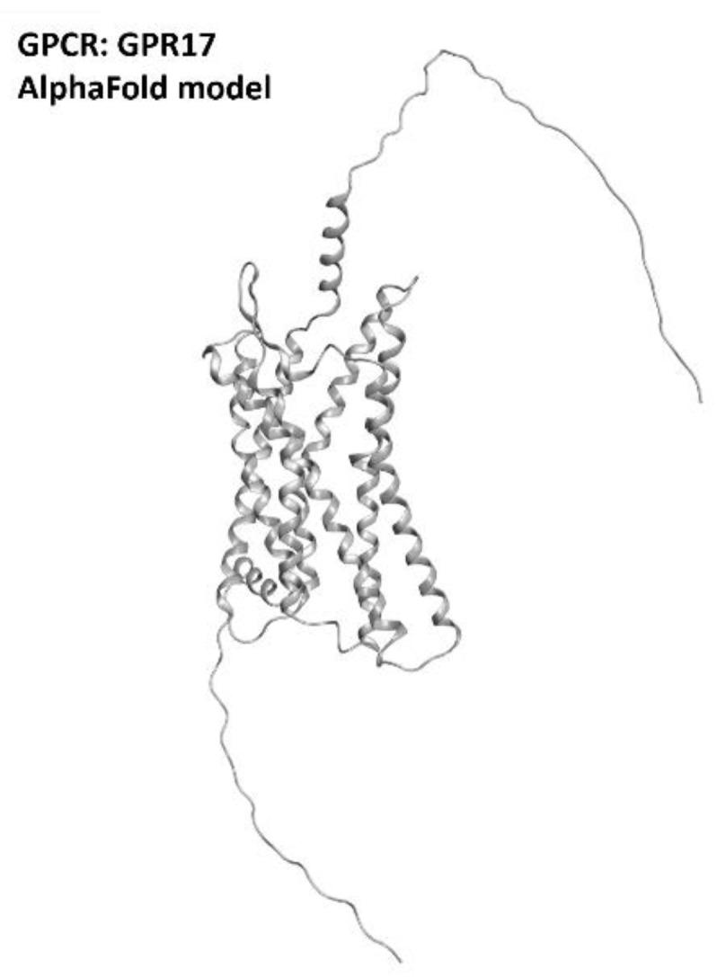 https://cdn.ncbi.nlm.nih.gov/pmc/blobs/8983/9106011/dec227e1347e/ijms-23-04504-g015.jpg