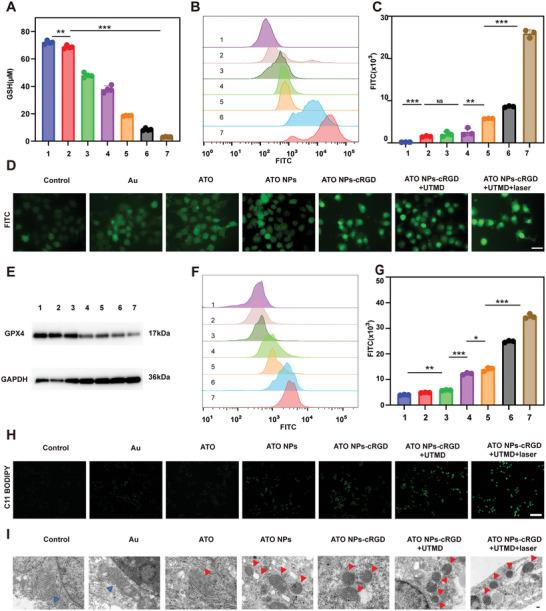 https://cdn.ncbi.nlm.nih.gov/pmc/blobs/8988/10375134/0e9918b09875/ADVS-10-2300878-g006.jpg