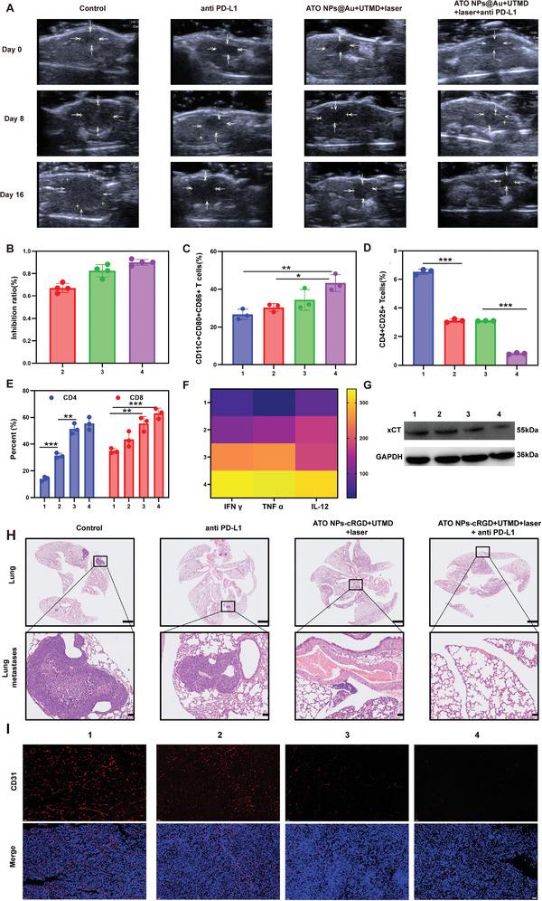 https://cdn.ncbi.nlm.nih.gov/pmc/blobs/8988/10375134/4357328e8598/ADVS-10-2300878-g005.jpg