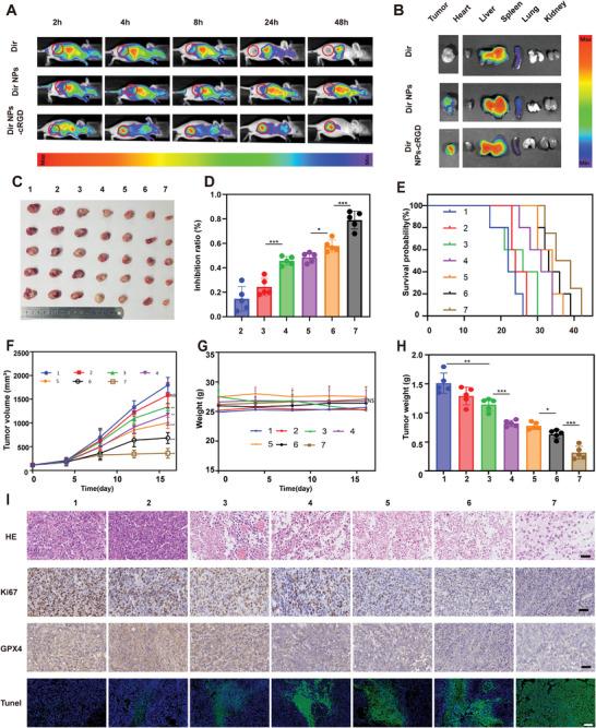 https://cdn.ncbi.nlm.nih.gov/pmc/blobs/8988/10375134/6f16b39f913d/ADVS-10-2300878-g008.jpg