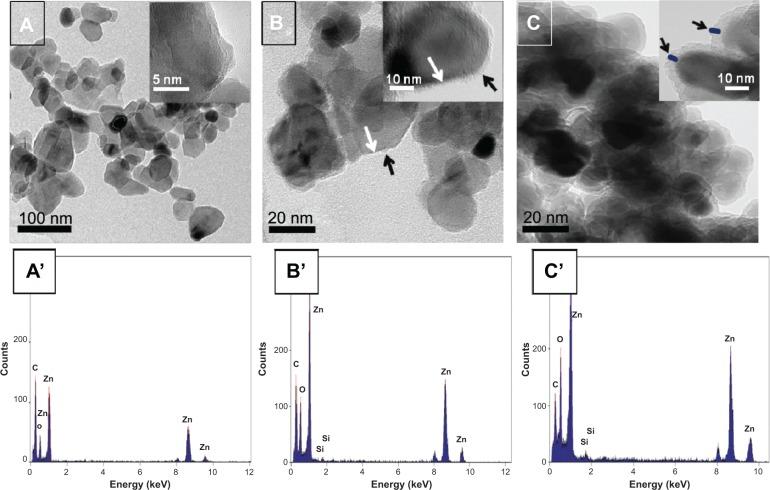 https://cdn.ncbi.nlm.nih.gov/pmc/blobs/8988/4132217/3a29579b28fb/ijn-9-3707Fig1.jpg